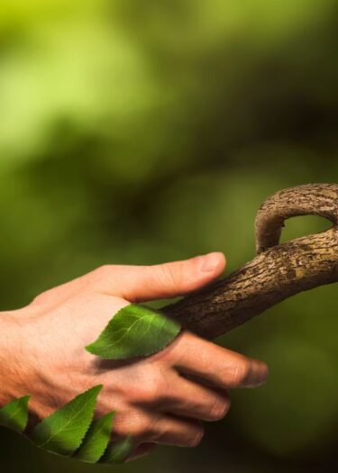 Untitled design (88)